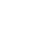 VEGANO